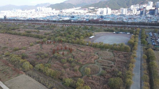 Vast park with cityscape in the background