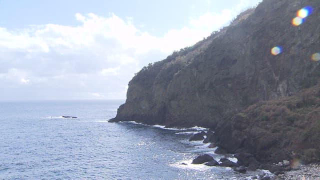 Peaceful Seascape with Rugged Cliff