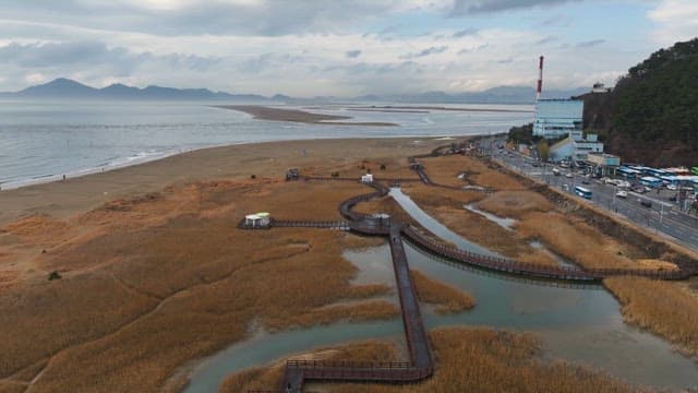 Coastal walkway with reeds and ocean view