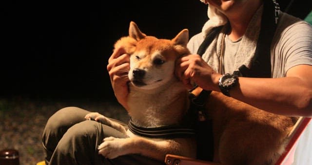 Man Enjoying Time with His Dog at Night