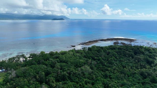 Aerial view of a lush green island surrounded by blue ocean