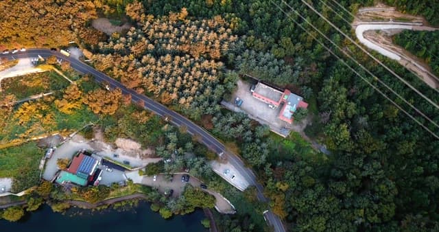 Winding road through a dense forest
