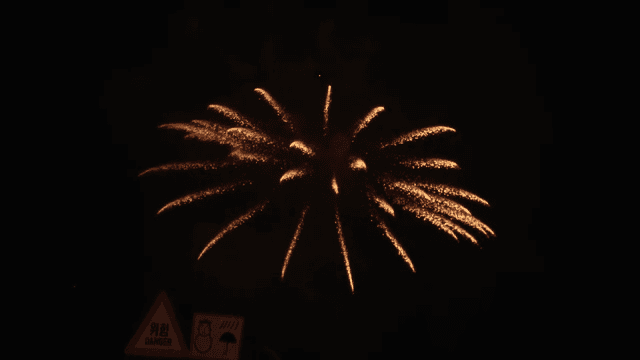 Fireworks lighting up the night sky