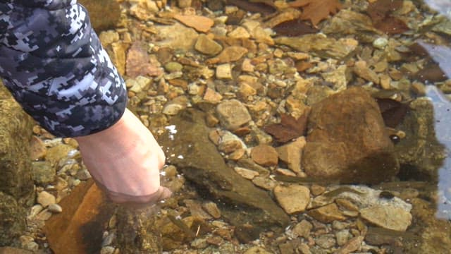 Hand feeding small fish in a clear stream