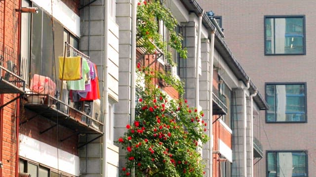 House balconies with flowers and laundry