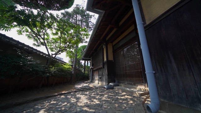 Traditional Japanese House with Sunlit