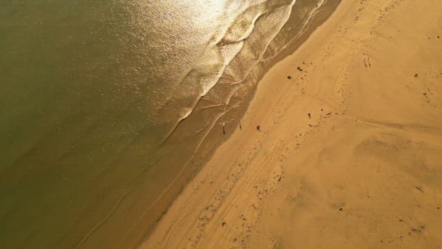 Golden beach with gentle waves