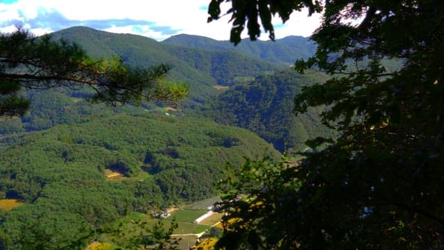 View of lush green mountains during the day