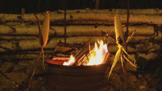 Corn roasting over an open fire