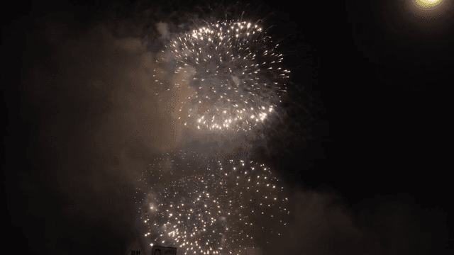 Fireworks lighting up the night sky