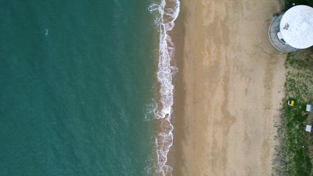 Waves Crashing onto the Beach Bordering the Forest