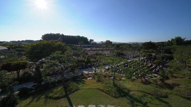 Bright Sun Over Tranquil Garden