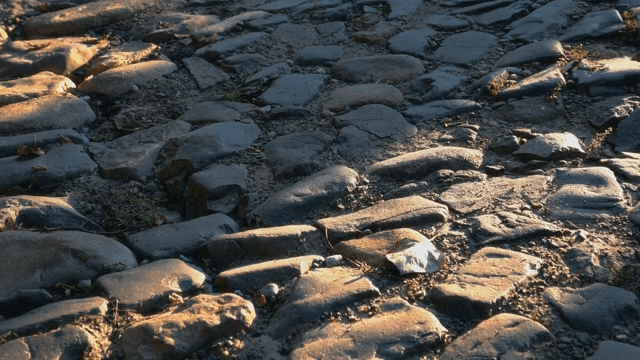 Shadow of a person walking on a stone path illuminated by sunlight