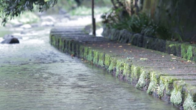 Serene River Flowing by a Mossy Walkway
