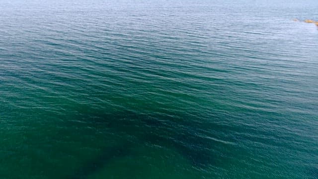 Serene Beach Shoreline from Above