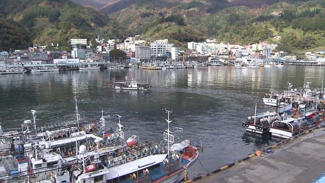 Fishing boats docked in a seaside town