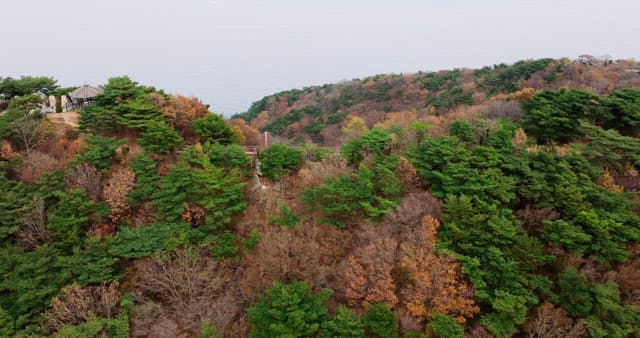 Sky Bridge Hanging Between Autumn Mountains