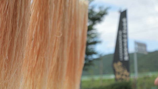Hemp stalks are Being Dried as the Material for Hemp Fabric