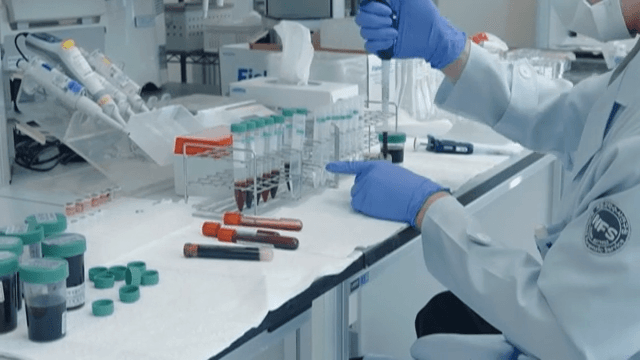 Laboratory Technician Handling Blood Samples