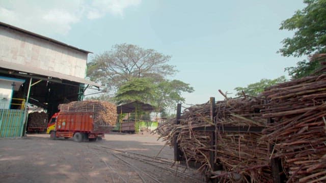 Trucks transporting sugarcane to an industrial facility on a sunny day