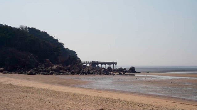 Serene Coastal Landscape with Wooden Pier