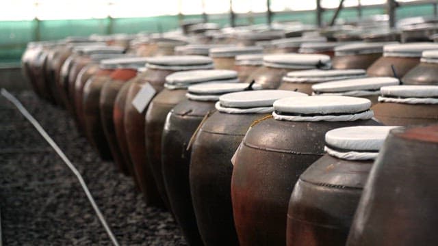 Rows of traditional Korean fermentation jars