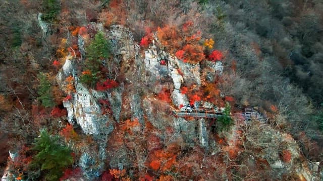 Hiking trails among mountainous areas colored with autumn leaves