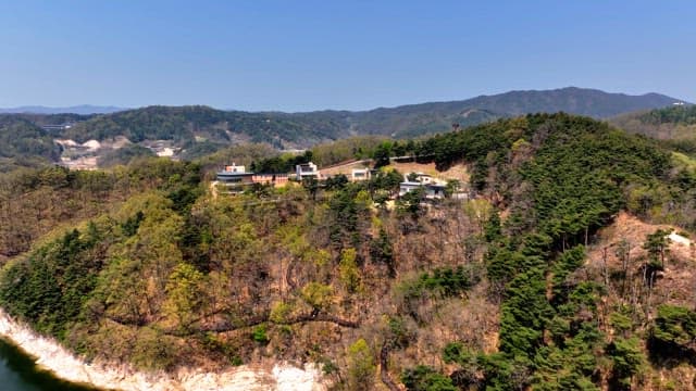 Houses on a forested hillside