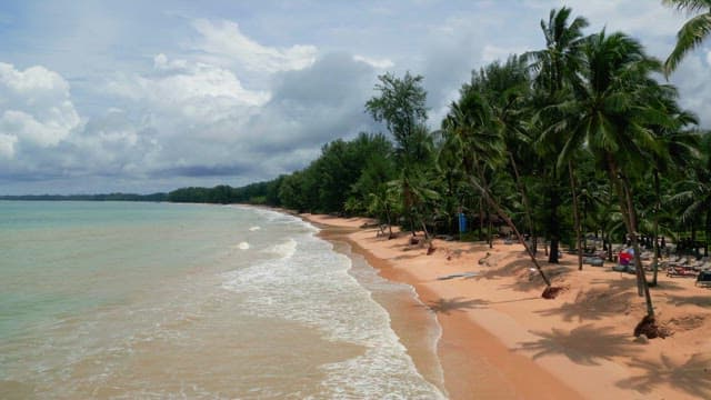 Serene beach with palm trees and waves