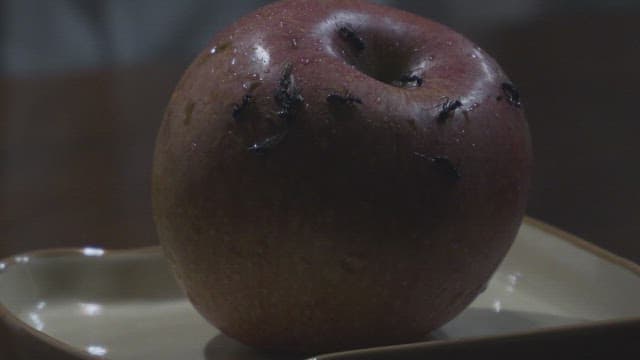 Ants crawling on an apple on a plate