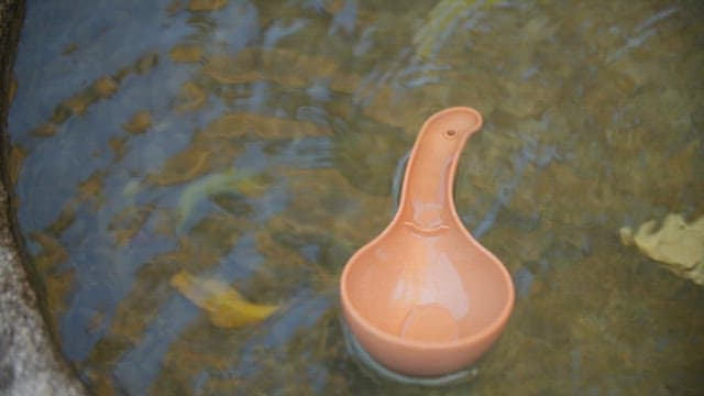 Small basin floating on the water of a spring