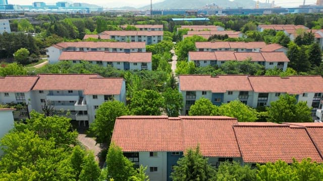 Green Residential Area Next to the Building
