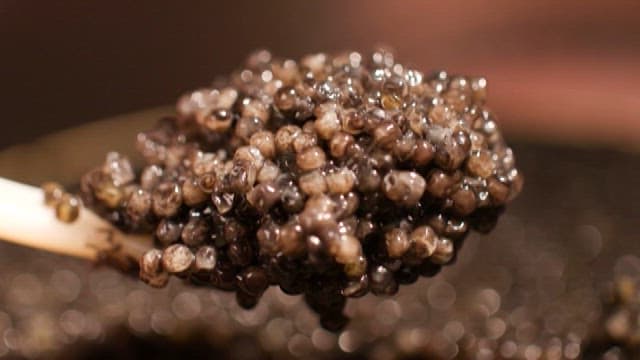 Fresh Caviar on a Spoon