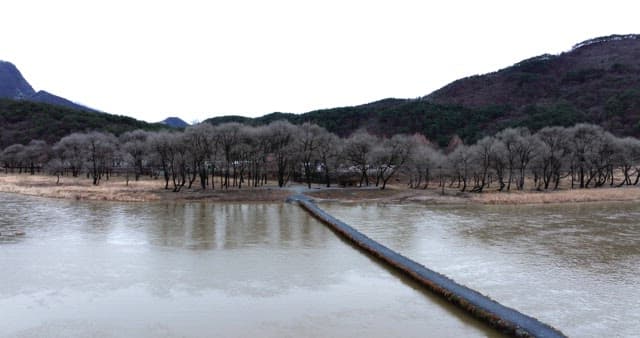 Peaceful river landscape surrounded by mountains and trees