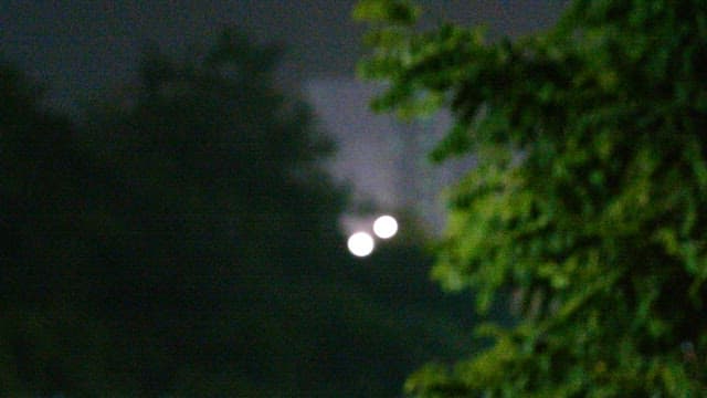 Leaves of trees swaying in the wind and rain in a dimly lit street