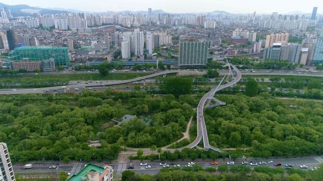 Serene Urban Park and Bustling Cityscape