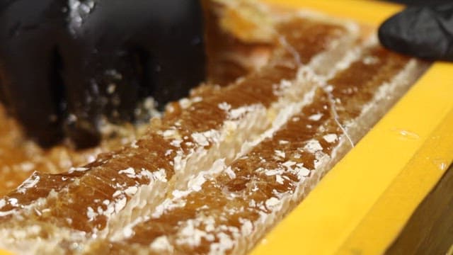 Extracting Fresh Honey from Honeycombs