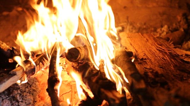 Roaring Fire Burning on Dry Firewood