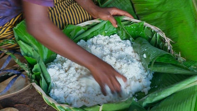 Mixing manioc dough in a basket with banana leaves