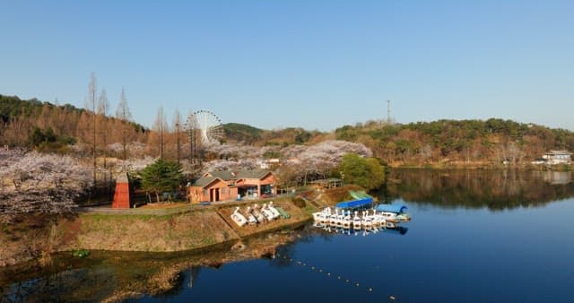 Scenic cherry blossom campsite with mountains and Ferris wheel
