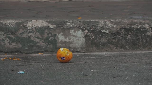 Monkey Picking up Orange on the Street