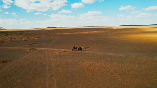 Caravan Journey on Camels Across the Desert