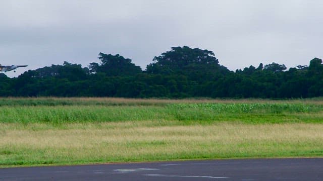 Small airplane flying over a grassy field