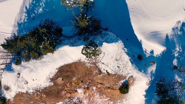 Snow-covered Landscape with Mountains and Trees