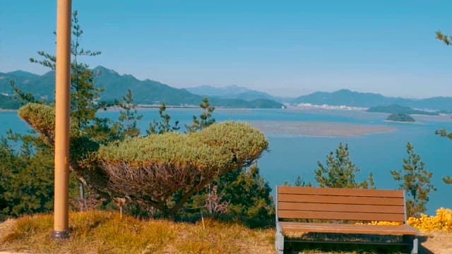 Serene Viewpoint Overlooking Coastal Landscape