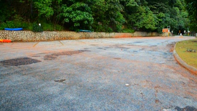 Red small crabs passing on the road with a view of the green forest