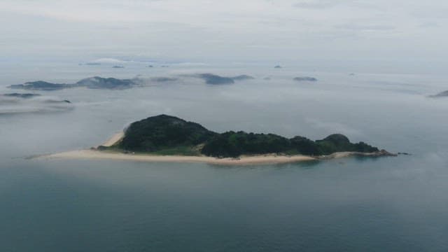 Misty Island Coastline from Above