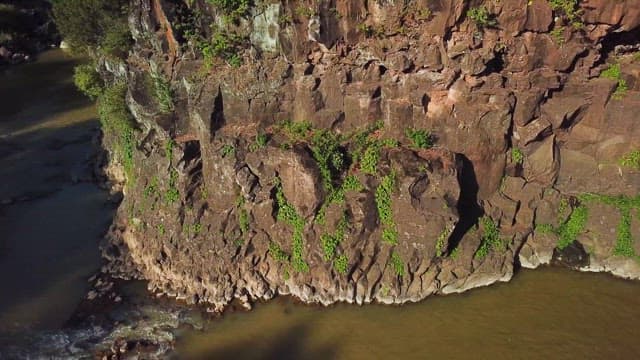 Riverside with lush cliffs