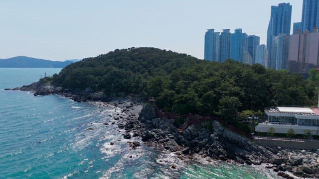 Coastal cliffs and forests with a city in the background with high-rise buildings