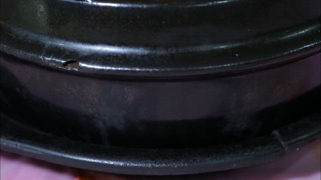 Spicy and delicious braised pork ribs